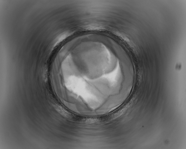 X0000101221306200807251102