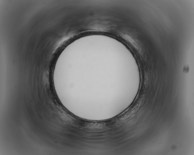 X0000101221307200807251102