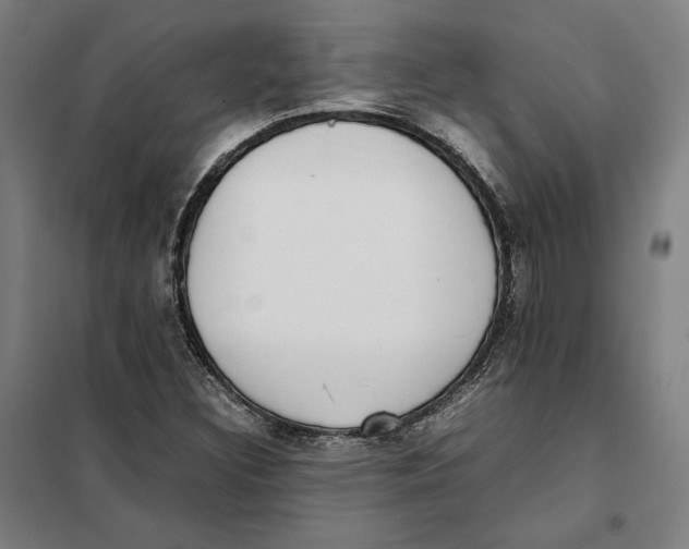 X0000101221308200807251102