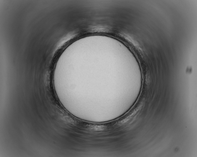 X0000101221309200807251102