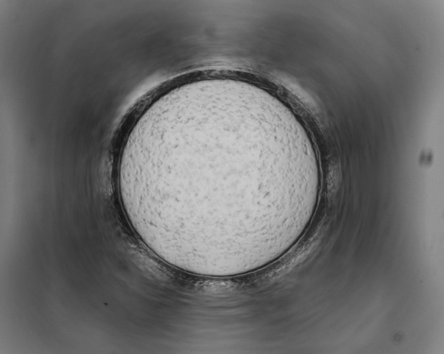 X0000101221310200807251102