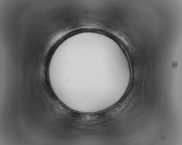 X0000101221311200807251102