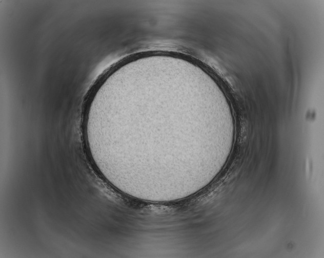 X0000101221312200807251102