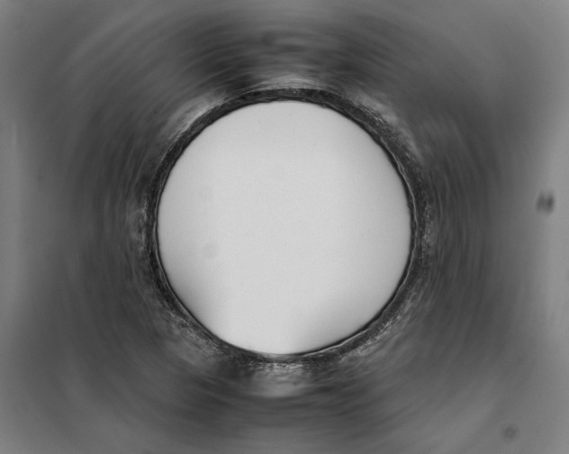 X0000101221313200807251102