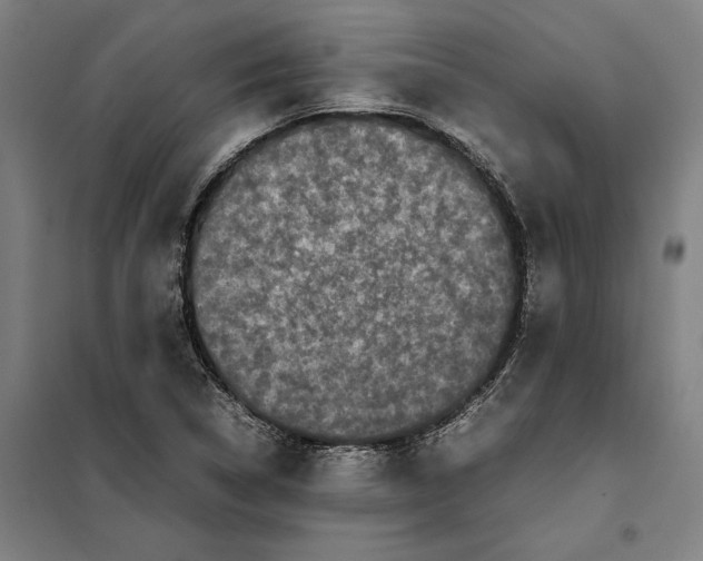 X0000101221314200807251102