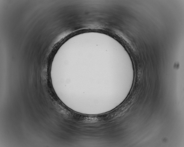 X0000101221315200807251102