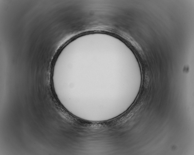 X0000101221316200807251102