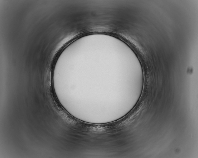 X0000101221317200807251102