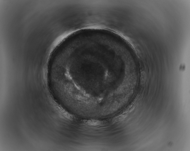 X0000101221319200807251102