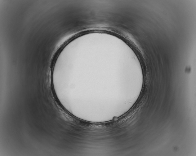 X0000101221320200807251102