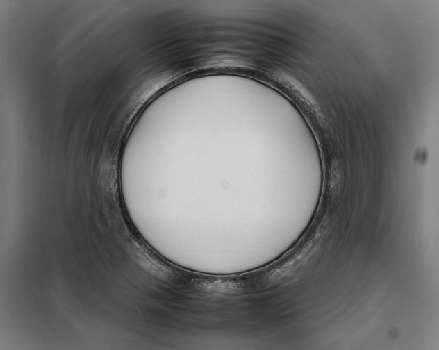 X0000101221321200807251102