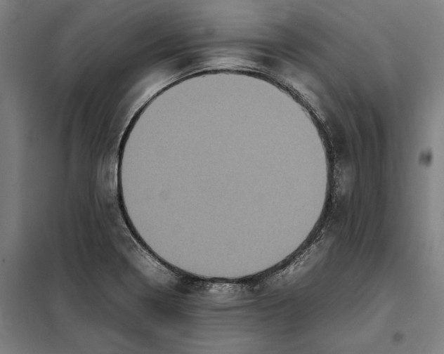 X0000101221322200807251102