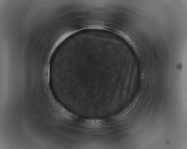X0000101221323200807251102