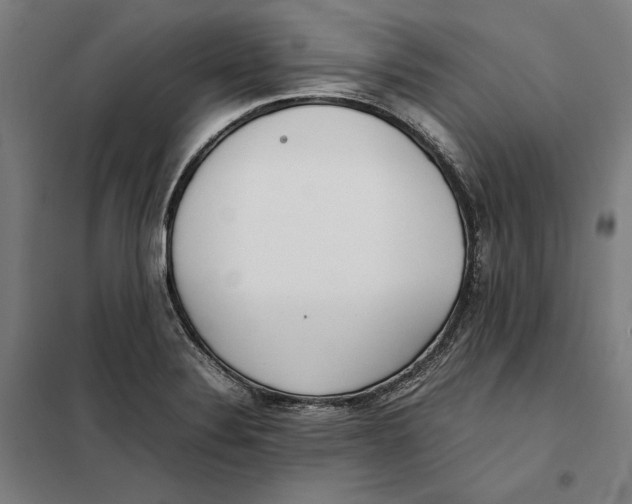 X0000101221324200807251102