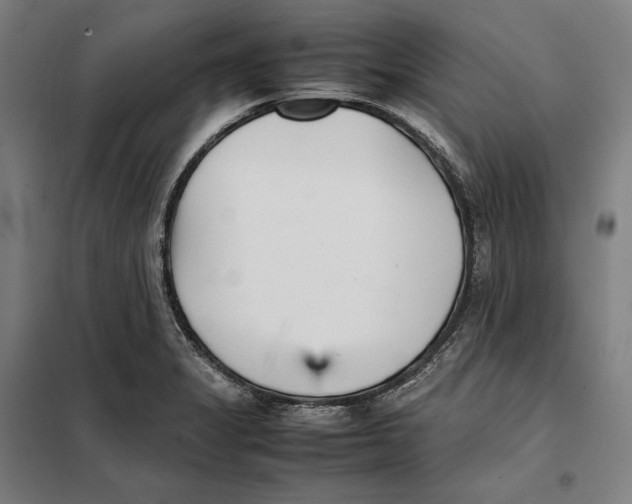 X0000101221325200807251102