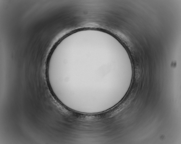 X0000101221326200807251102