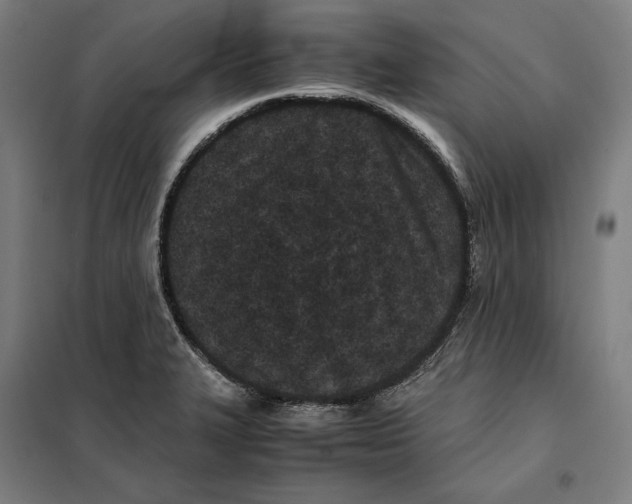 X0000101221327200807251102