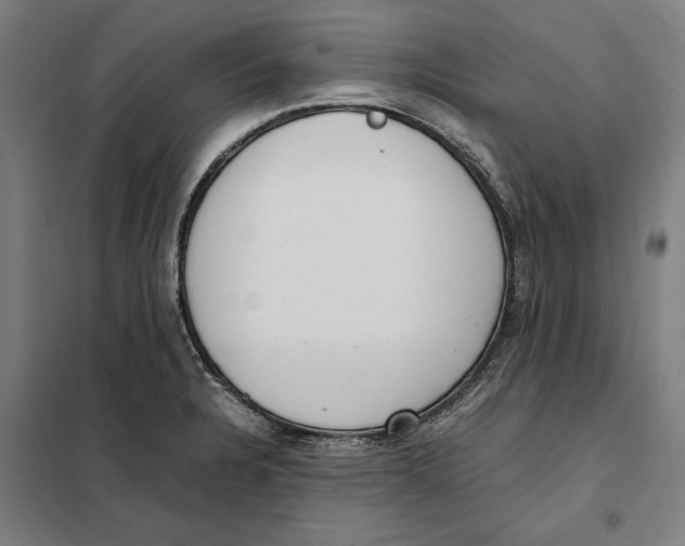 X0000101221328200807251102