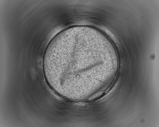 X0000101221329200807251102