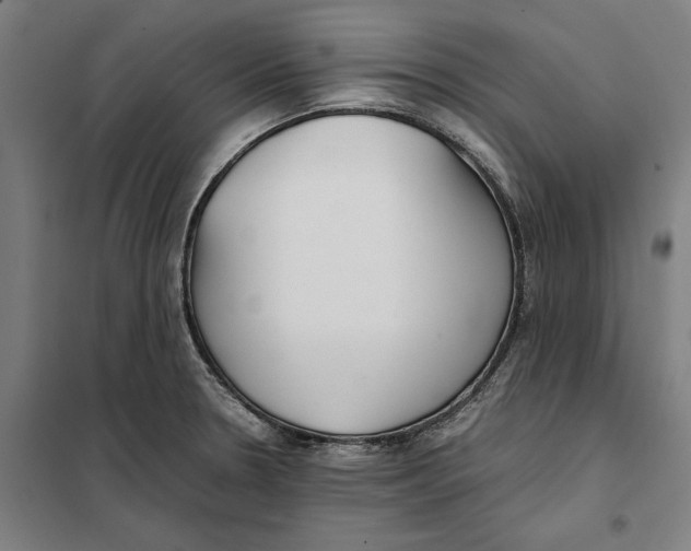 X0000101221330200807251102