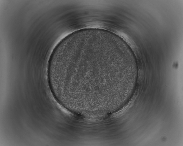 X0000101221331200807251102