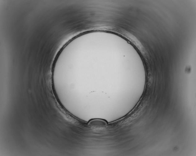 X0000101221332200807251103