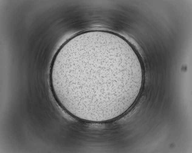 X0000101221333200807251103