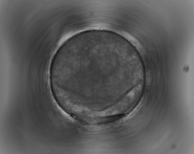 X0000101221334200807251103