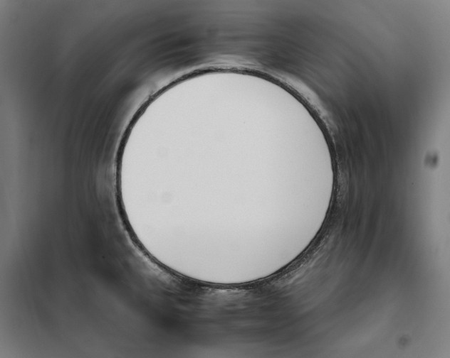 X0000101221335200807251103