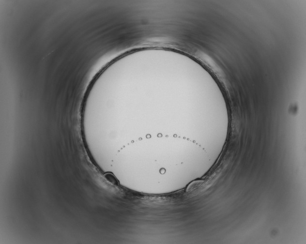 X0000101221336200807251103