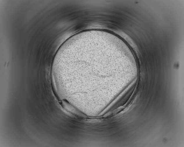 X0000101221337200807251103