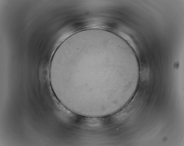 X0000101221338200807251103