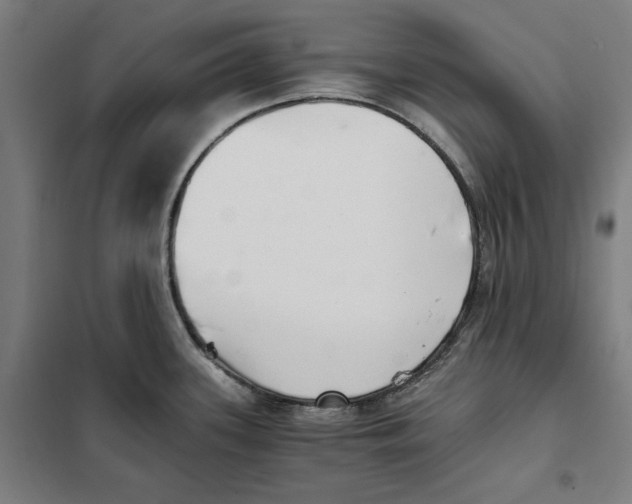 X0000101221339200807251103