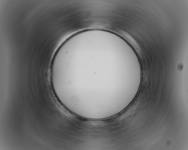 X0000101221340200807251103