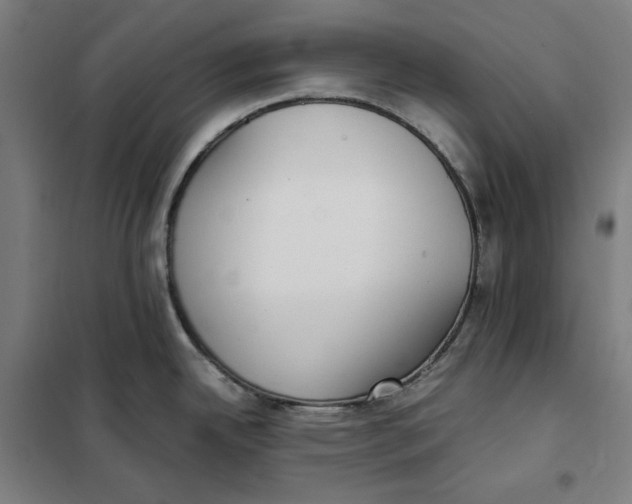 X0000101221342200807251103