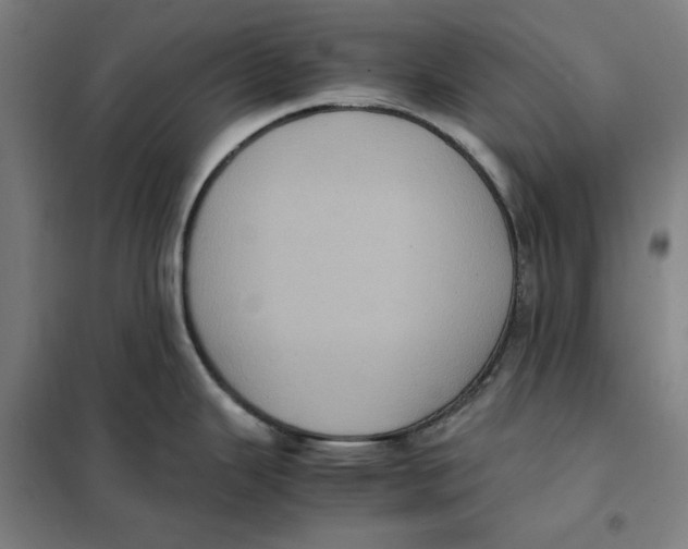X0000101221343200807251103