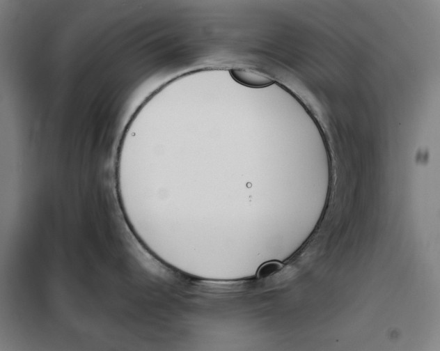 X0000101221344200807251103