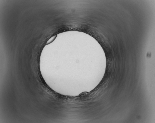 X0000101221345200807251102