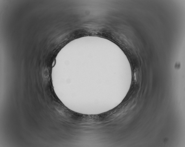 X0000101221347200807251102