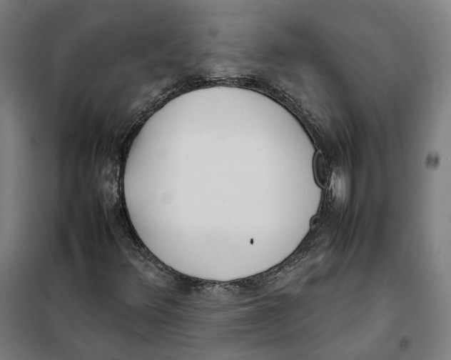 X0000101221348200807251102