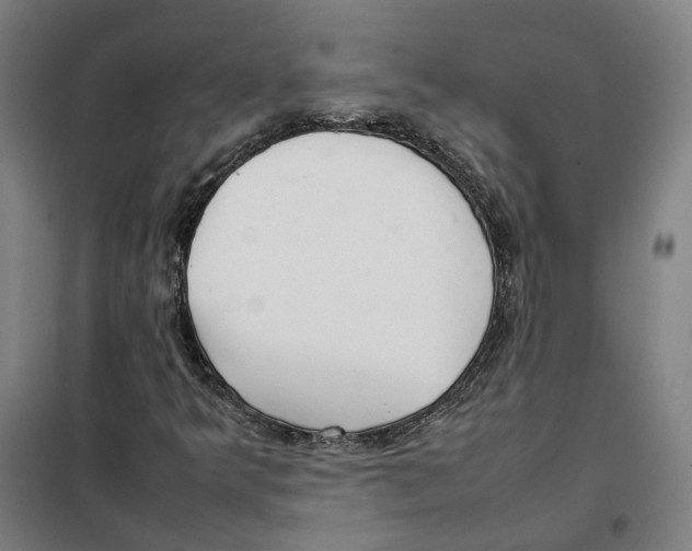 X0000101221349200807251102