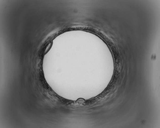 X0000101221351200807251102