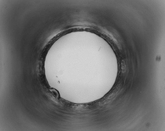 X0000101221352200807251102