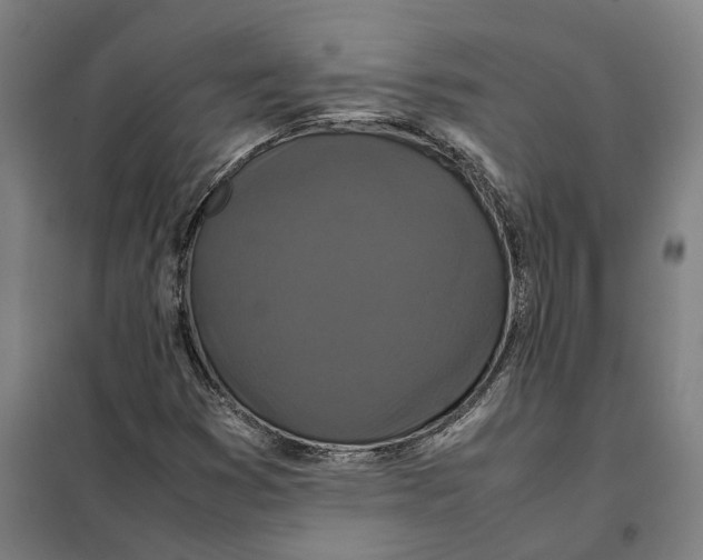 X0000101221353200807251102