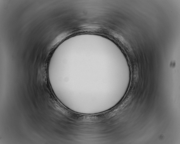 X0000101221354200807251102