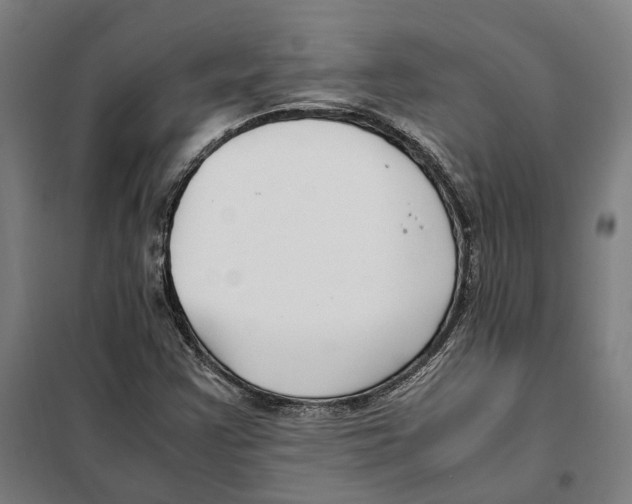 X0000101221355200807251102
