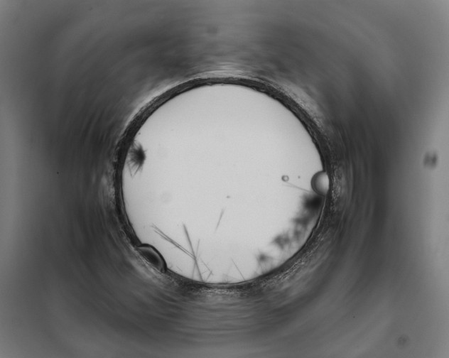 X0000101221356200807251102
