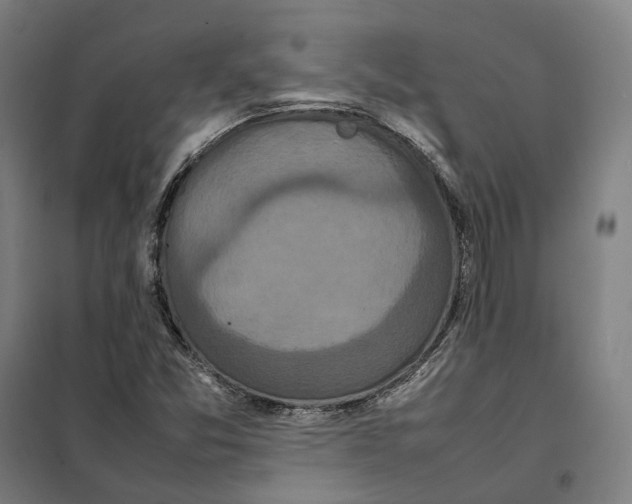 X0000101221357200807251102