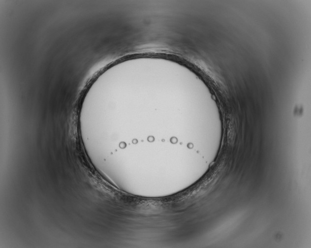 X0000101221358200807251102