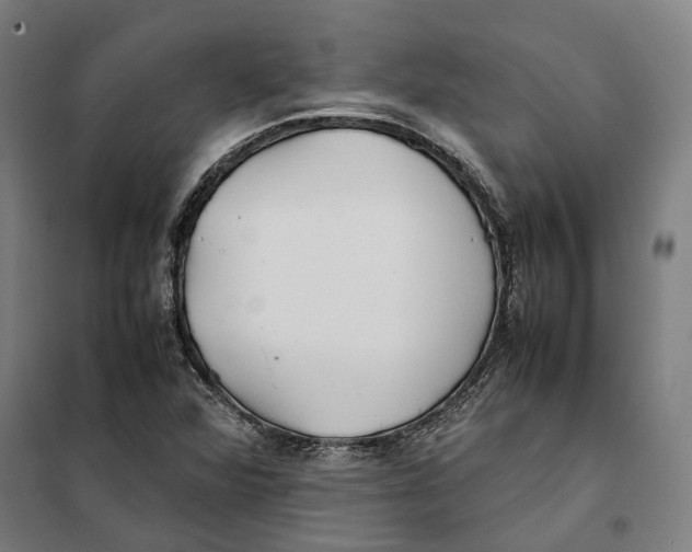 X0000101221360200807251102